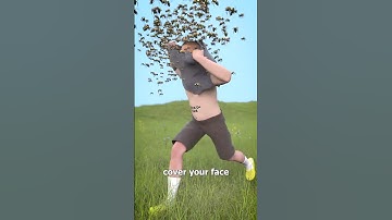 Thumbnail of How To Survive A Swarm Of Bees 😱