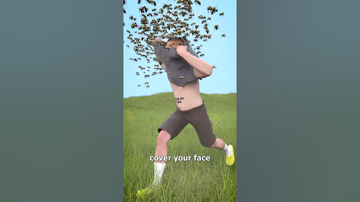 How To Survive A Swarm Of Bees 😱