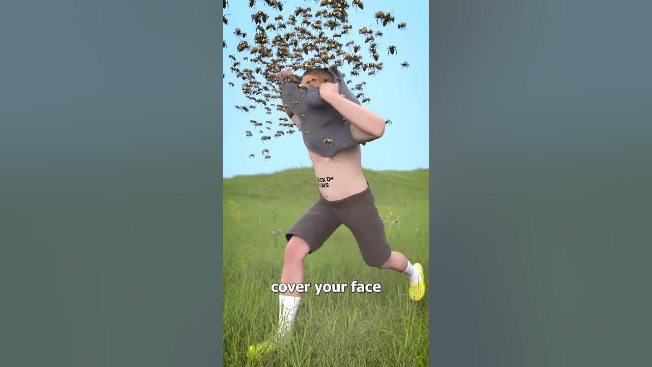 How To Survive A Swarm Of Bees 😱