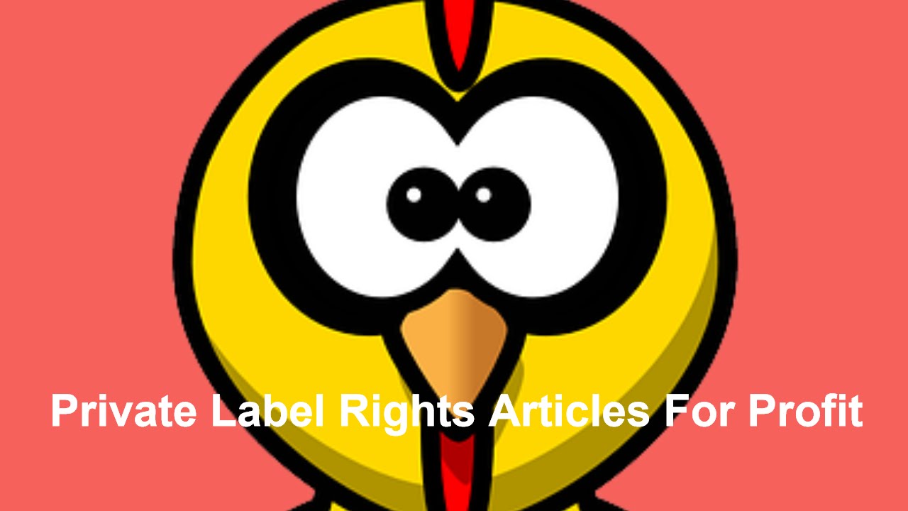private label rights 3 Secrets To Making Money Online - YouTube