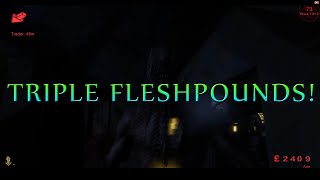 Killing Floor: Art Of Berserker Flare Revolver Solo Gameplay | Bedlam | Hell On Earth |