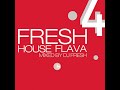 Capture de la vidéo Fresh House Flava 4 - Mixed By Dj Fresh [2001]