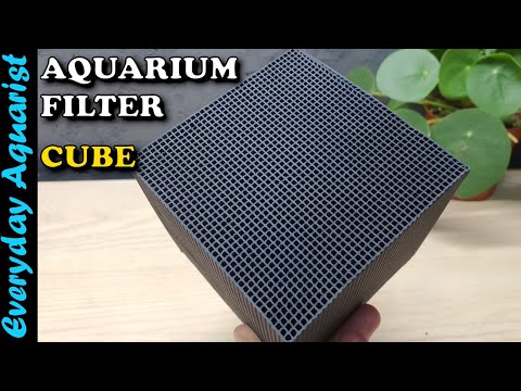 AQUARIUM WONDER CUBE? | Eco-Aquarium Activated Carbon Filter Water Purifier