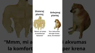 Esperantaj memeoj 19 #esperanto #memeoj