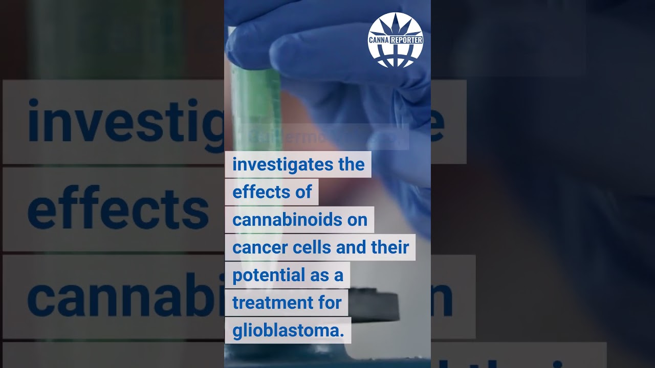 Medical Cannabis Bike Tour's Journey to Fight Glioblastoma 🚲🌱CannaReporter  