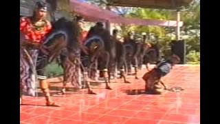 Turonggo safitri putro