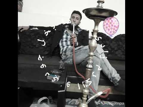 ما بخل جودي والكرم زاري