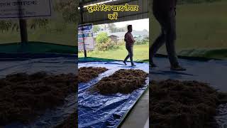 compost taiyaari 🍄‍🟫 #shortsfeed #youtube #viral#yutubeshorts