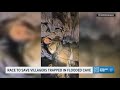 Rescue underway in Laos after villagers trapped in flooded cave