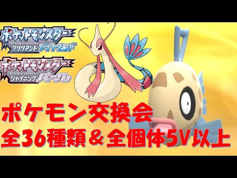 全36種類 ダイパリメイクポケモン交換会 色違いの配布も 視聴者同士の交換や対戦もオッケー Youtube