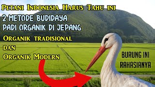 Download Lagu 2 metode pertanian padi organik di Jepang yang harus Petani ketahui MP3