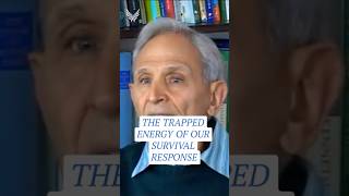 Why Don't Animals Freeze Under Threat with Peter Levine