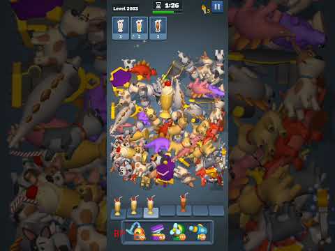 YouTube Video Walkthrough