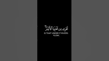 #كرومات_قرآن #quran #اكسبلور #التدبر #اطمئن_وتوكل_على_الله #لايك #راحة_نفسية #القارئ_ياسر_الدوسري