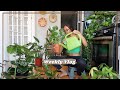 Plant Care, Pack With Me, Trader Joe's Snack Haul | VLOG
