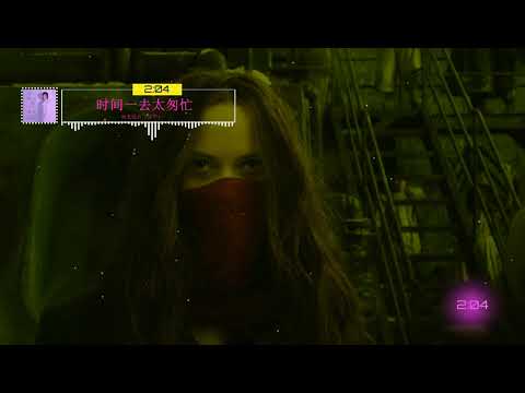 2023華語網絡流行音樂 ||《時間一去太匆忙》|| 南北組合（甘萍）|| 動態歌詞