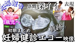 妊婦健診エコー映像集/妊娠報告/深イイ言葉娘わかるかな？