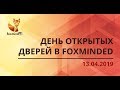 Как Junior специалисту найти первую работу и не вылететь с нее