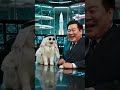 😹 পারমাণবিক গোপন মিশনে আরব ক্যাট! 🚀🔥 | Funny Cat AI Video #funnycat #viral #ai