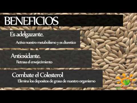 alpiste para adelgazar propiedades de la sangre