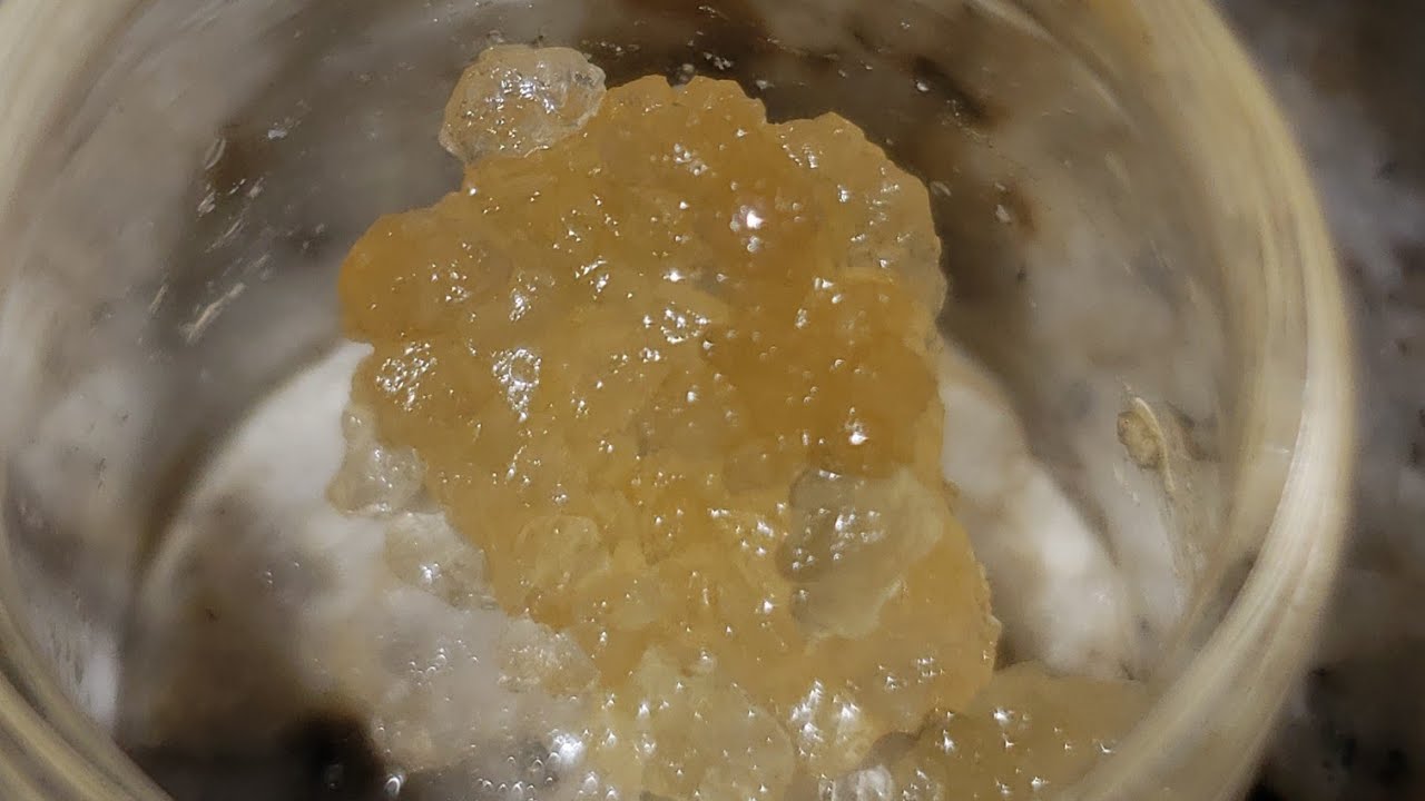 Dabtalk ep 17: Gushers by Agro Couture (Live Resin)