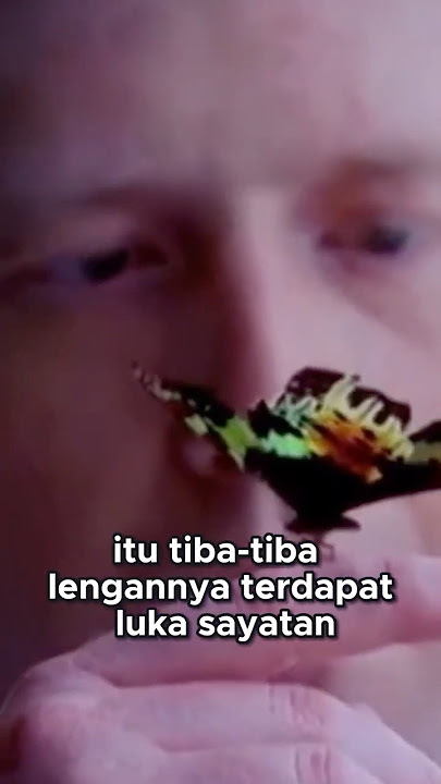 Kupu Kupu P*mbun*h Menyerang! Pria Ini Terluka Parah! #film #gudangfilm #ulasanfilm #alurcerita