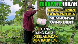 Ternyata Inilah JAMPE-JAMPE Supaya Bisa Punya UANG BIBIT Yang Kalau Dibelanjakan Bisa Balik Lagi