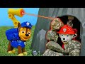 Paw Patrol Helden auf Deutsch. Marshall. Spielzeuge für Kinder