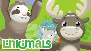 Linkimals™ | Vamos Dançar | Compilação | Desenhos Animados | Educação | para Crianças