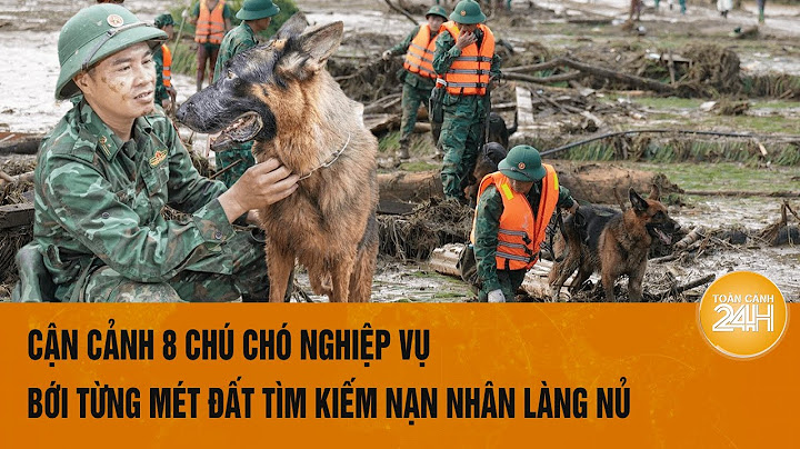 Cận cảnh 8 chú chó nghiệp vụ bới từng mét đất tìm kiếm nạn nhân Làng Nủ