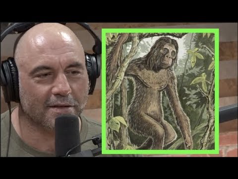 Video: Gigantopithecus: Et Abe-monster Fra Den Fjerne Fortid - Alternativ Visning