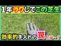 【誰でもできる】賢く効率的な芝生の手入れ。その大切な考え方について！