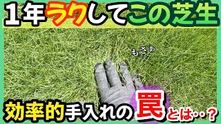 【誰でもできる】賢く効率的な芝生の手入れ。その大切な考え方について！