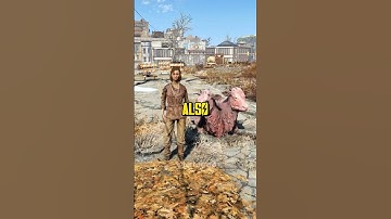 4 Animals Spying For The Institute 👀 Fallout 4 Exploration