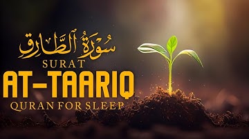 سوره طارق (تلاوت لوفی قرآن) | تیلاوات آرامش بخش و آرام | عبدالله شعبان