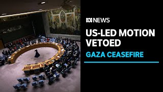 Information UN Security Council vetoes US resolution on Gaza ceasefire | ABC News News