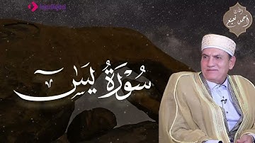 القرآن يلامس روحك 🕊️ | سورة يس – الشيخ أحمد نعينع🎧😢
