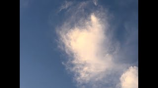 IS THAT THE MOON? THE SUN? PRAIRIEVILLE, LOUISIANA, MARCH 29, 2021. CHECK DESCRIPTION IS THAT THE MOON? THE SUN? PRAIRIEVILLE, LOUISIANA, MARCH 29, 2021. CHECK DESCRIPTION