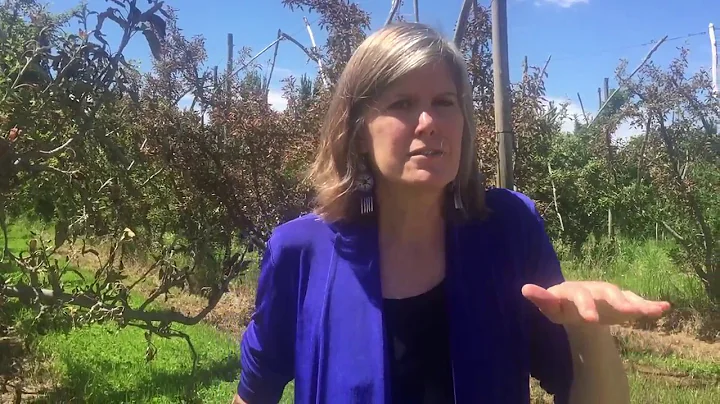 Steingraber Commentary 1: Fracking Flowback Spill ...