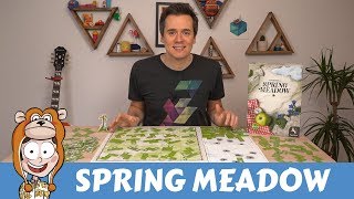 Spring Meadow Board Game Review - Actualol