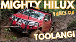 What have I done.... Cockpit Toolangi!
