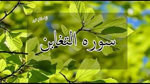 سوره التغابن كامله للقارئ عبد الودود حنيف