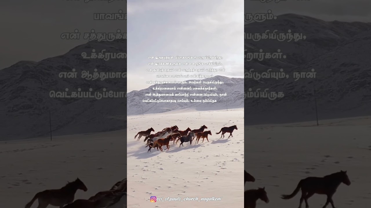 Morning meditation | Today Bible verse | வேத வசனம் | Verses | Verses of the day | 29/01/2026