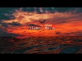 Adamz  vibes  chillout lofi music 