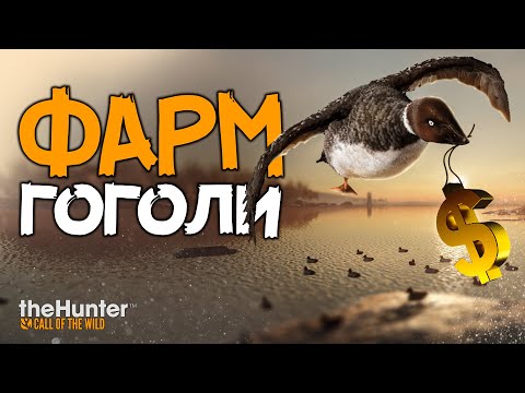 Видео: TheHunter: Call of the Wild - Фарм - Прокачка - Гоголи - Берег ревонтули