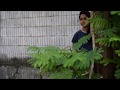 samjhawan | cover by samara sequeira | humpty sharma ki dulhania