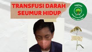 TRANSFUSI DARAH SEUMUR HIDUP || THALASEMIA