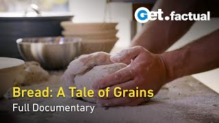 Bread: From Grain to Daily Nourishment | Full Documentary