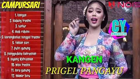 PRIGEL PANGAYU - KANGEN, KADUNG TRESNO | LANGGAM CAMPURSARI KRATON DIGITAL TERBARU 2023