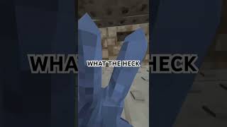 What the heck #gorillatag #gorillatagquest #vr #gtag #viral